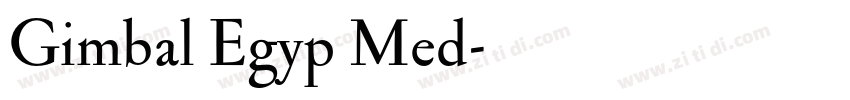 Gimbal Egyp Med字体转换
